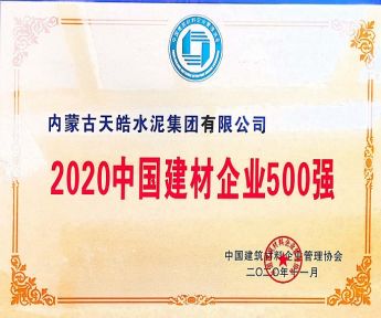 2020中國建材企業(yè)500強