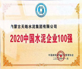 2020中國水泥企業(yè)100強